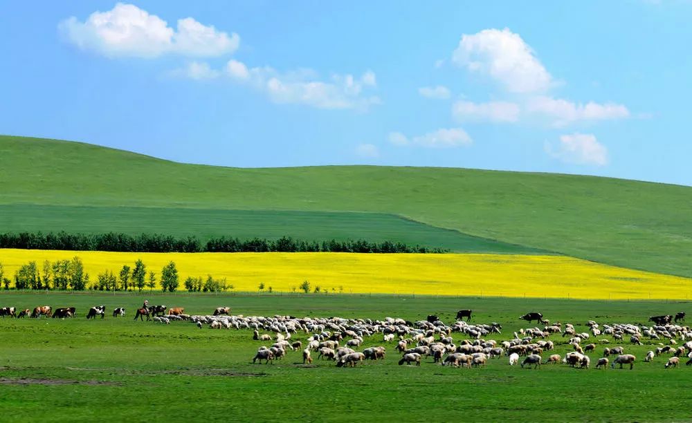 内蒙古自然美景探索之旅，寻求内心平和与宁静的旅程