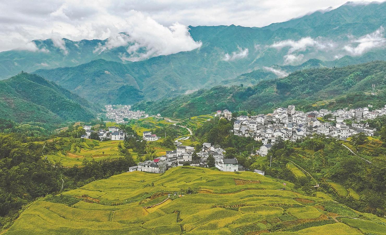 安徽小巷探秘，探寻隐秘美食天堂