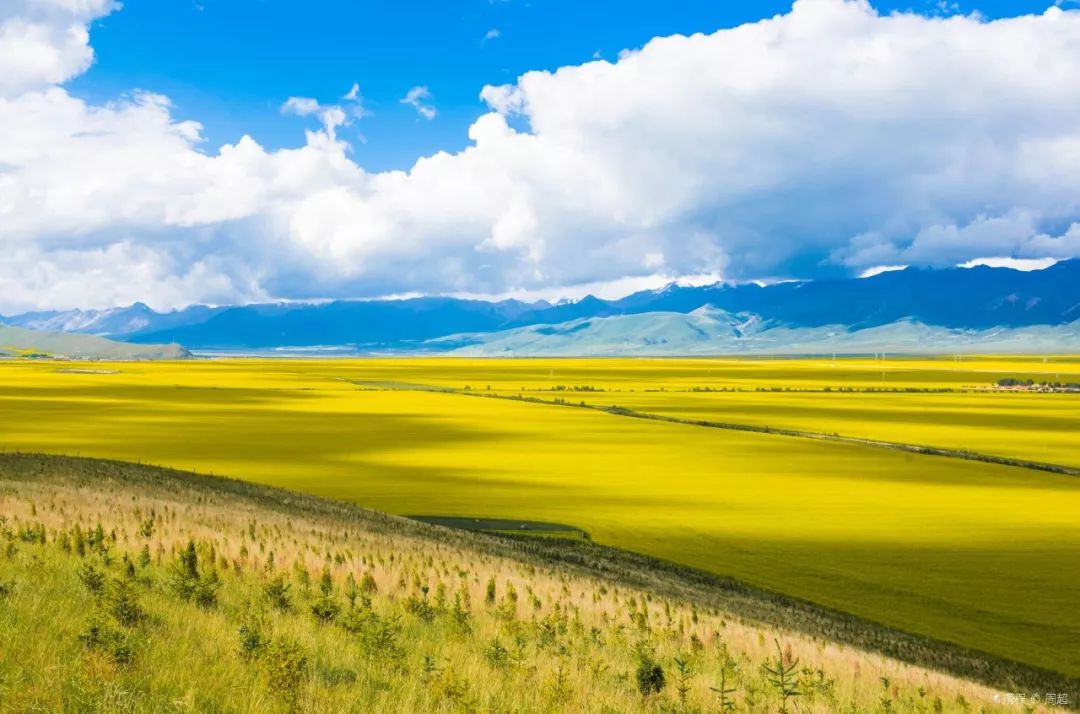 青海，梦想翱翔的蓝天之地