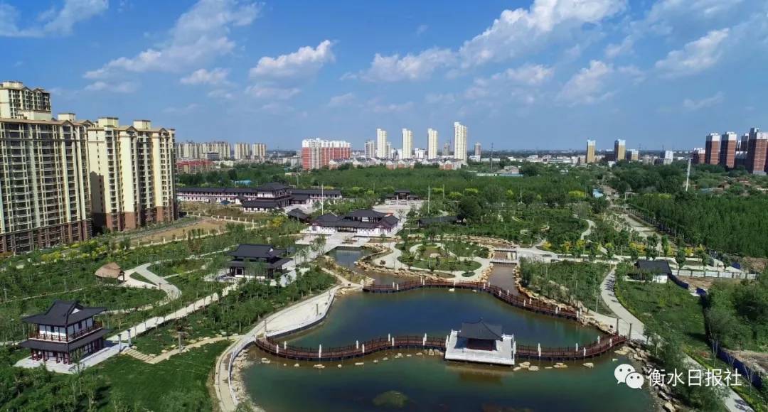 衡水,深度解析与评论文章