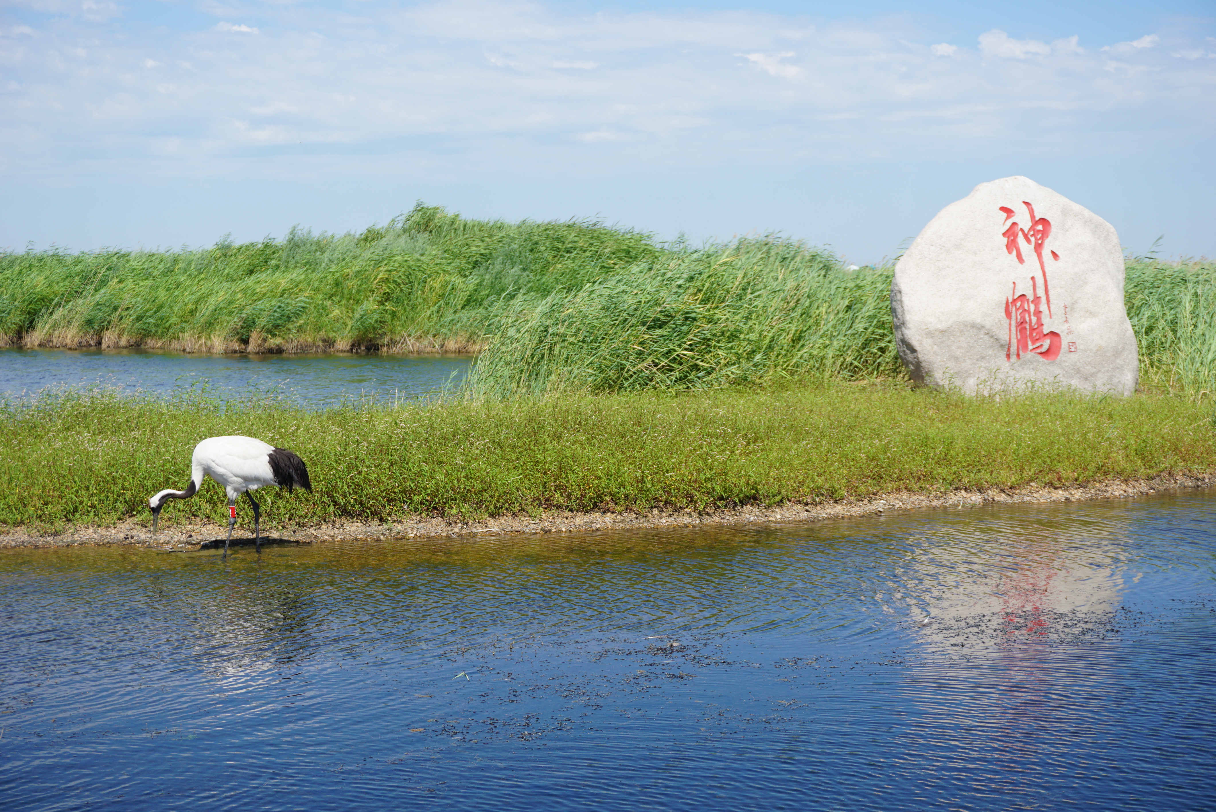 运城小巷深处的独特美食风味
