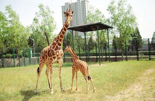 千年古都太原，现代魅力绽放之城