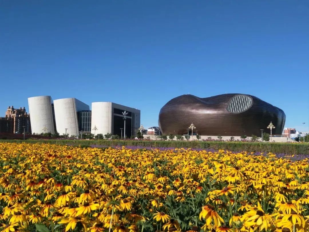 鄂尔多斯发展深度解析与个人视角观察