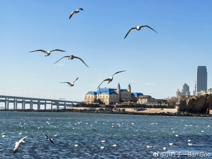 大连,活力四溢的海滨明珠