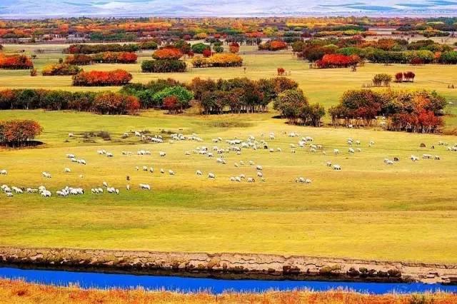 呼伦贝尔草原之旅，一场绿意盎然的探险日记